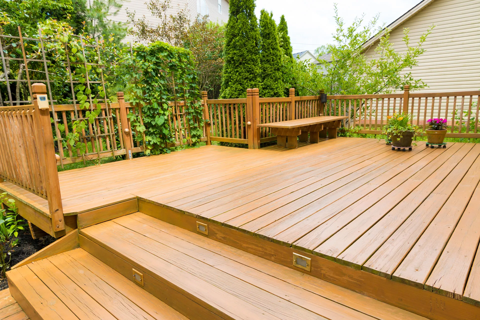 A freshly stained wood deck with steps, a built-in seating bench, and lush green arborvitae trees in the backyard.